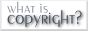 What is Copyright Protection